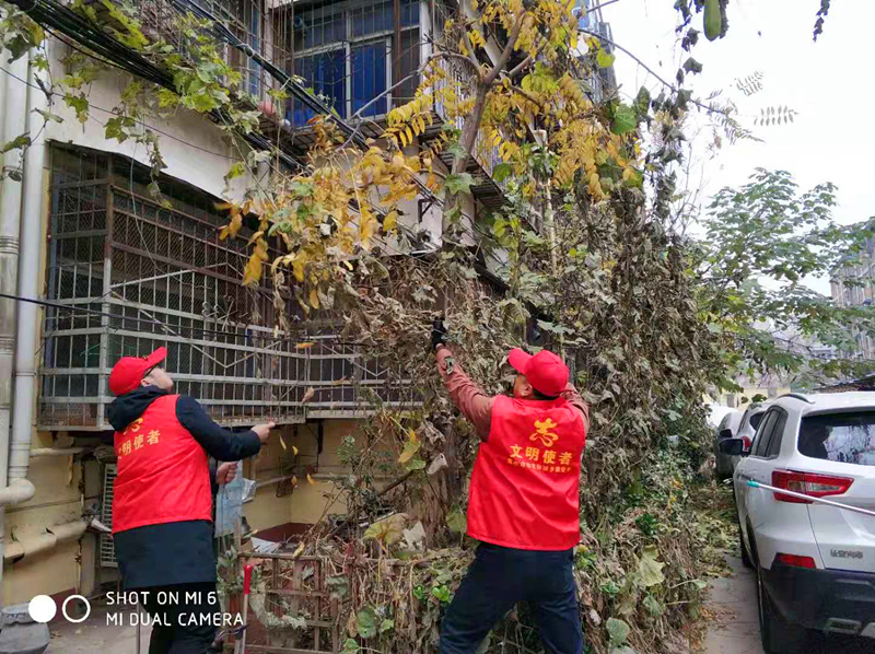 图片1_副本.png