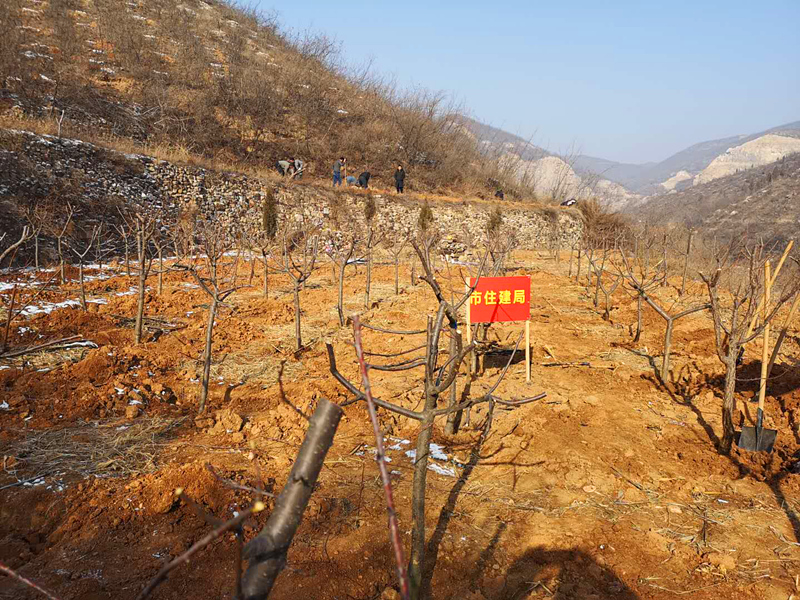 图片5654892_副本.png
